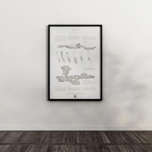 Marie Agnes silver mine map: White Poster, 50x70